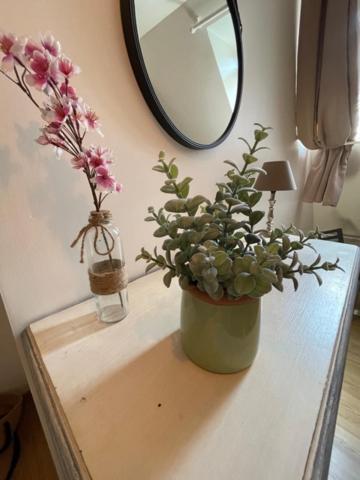 Spacieux T3 Coeur De Ville 索姆河畔圣瓦莱里 外观 照片